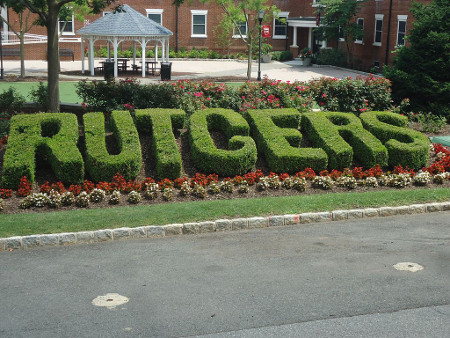 Rutgers Hedge Surrounded by Flowers