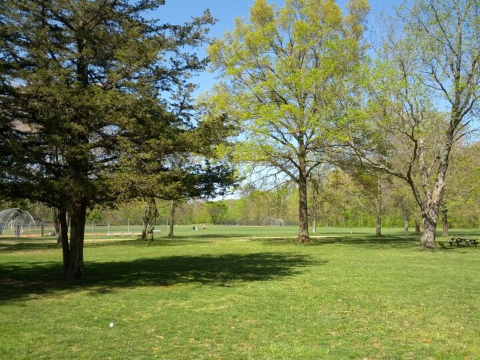 Field at Lions Memorial Park