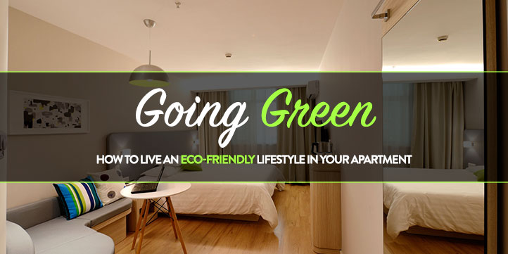 eco friendly apartment