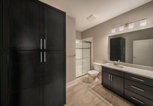 Monroe Place Apartment Bathroom with Black, White and Greys