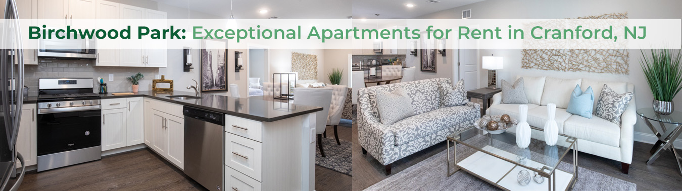 Birchwood Park: Exceptional Apartments for Rent in Cranford, NJ