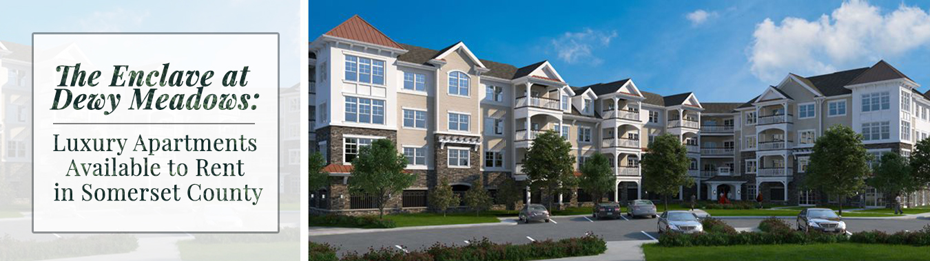 The Enclave at Dewy Meadows: Luxury Apartments Available to Rent in Somerset County