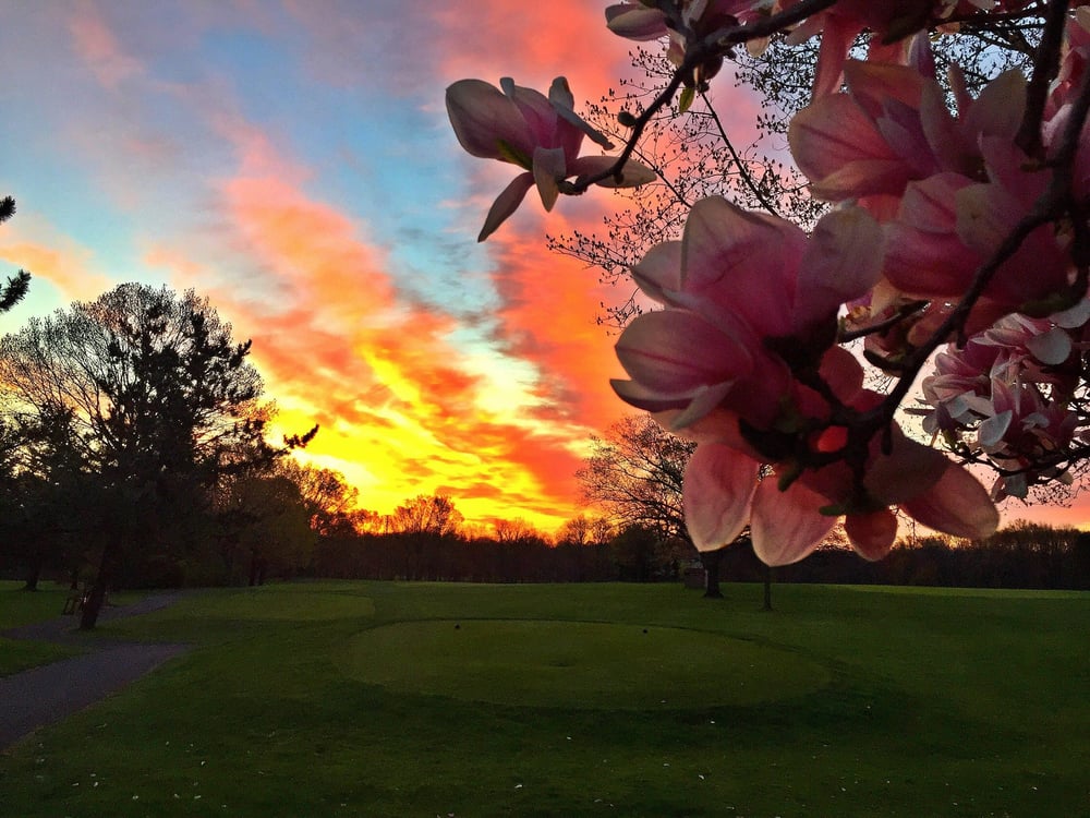 Sunset and flower at Ashbrook Golf Course