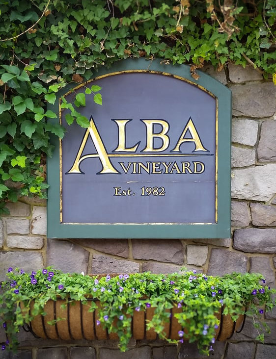 Alba Vineyard sign against a stone wall, adorned with lush vines cascading gracefully over the signage.